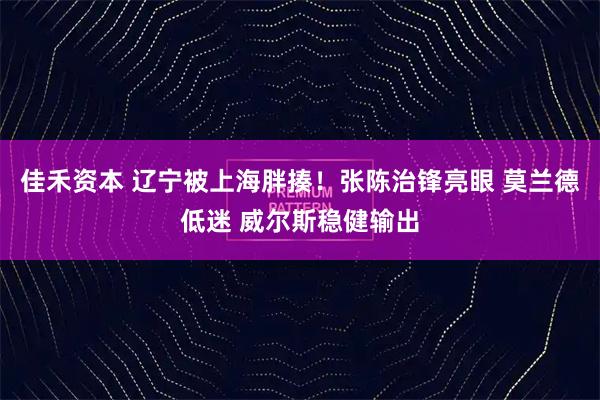 佳禾资本 辽宁被上海胖揍！张陈治锋亮眼 莫兰德低迷 威尔斯稳健输出