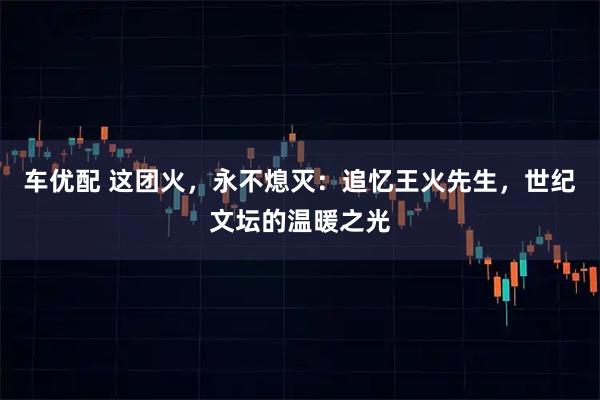 车优配 这团火，永不熄灭：追忆王火先生，世纪文坛的温暖之光