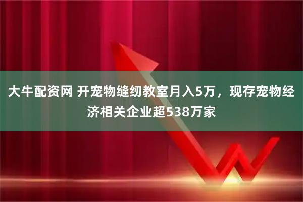大牛配资网 开宠物缝纫教室月入5万，现存宠物经济相关企业超538万家
